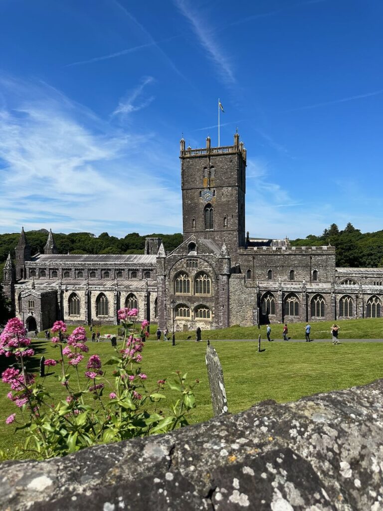 View of whole St Davids Cathedral and pink flowers in foreground