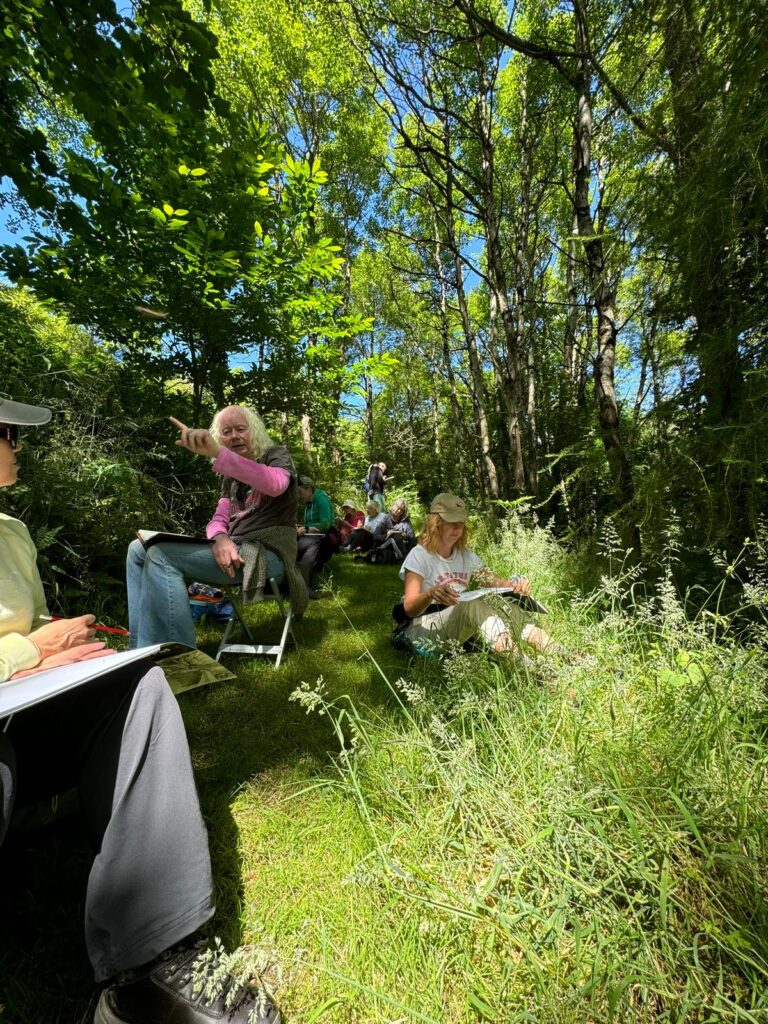 People sitting in wood drawing
