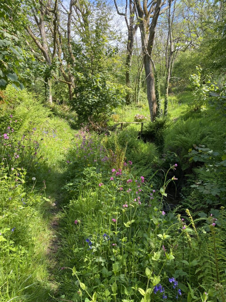 The Cwm Tawel green valley in Spring 