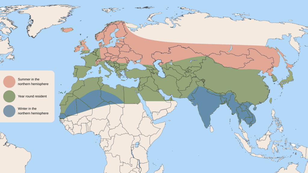 Map showing distribution of Hummingbird Hawk Moth in the world